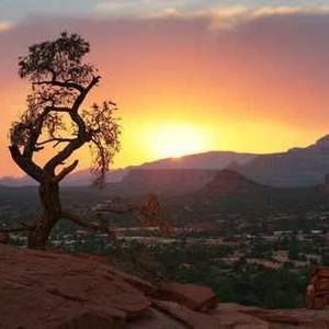 Meet your Posher, Tom